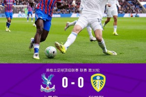 水晶宫0-0十人利兹联，勒温失点，古德蒙松染红